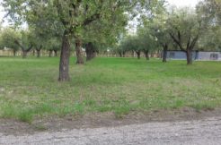 IMG-20190324-WA0017