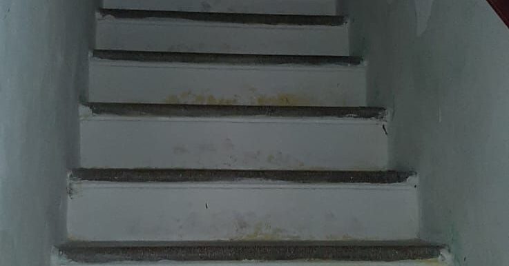 IMG-20230218-WA0012