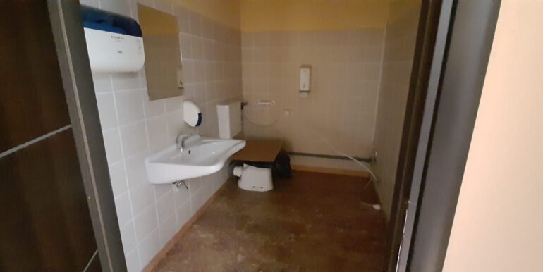 IMG-20230411-WA0017