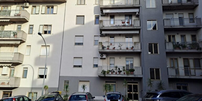FOTO1