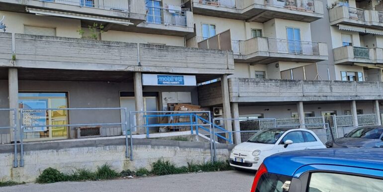 FOTO4