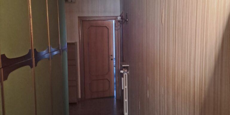 IMG-20250308-WA0026