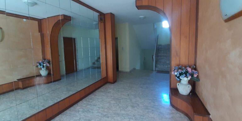 androne (2)