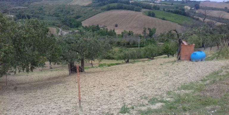 IMG-20190510-WA0023