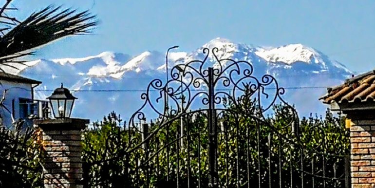 IMG-20220707-WA0003