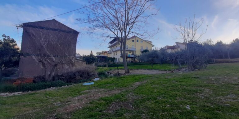 IMG-20230322-WA0006