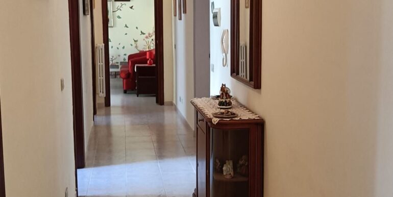 IMG-20240229-WA0035
