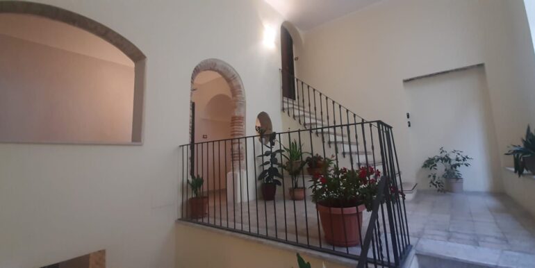 gradinata (3)