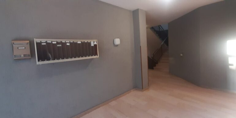 androne (2)